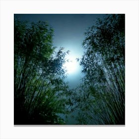 Firefly 8k, Top Quality, Live Action, Center, Dark, Night, Midnight, Starry Sky, Bamboo, Dense, Fog, (2) Canvas Print