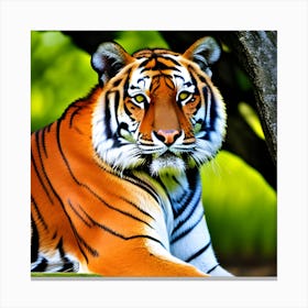Lucky Tiger Canvas Print