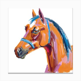 Arabian Horse 02 1 Canvas Print