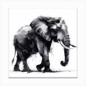 Elephant Canvas Print Canvas Print