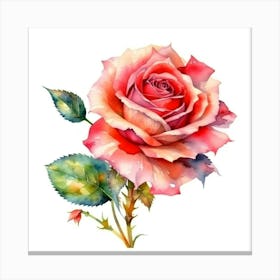 Watercolor Rose Canvas Print