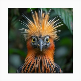 Horned Pheasant Canvas Print