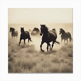 Horses running wild Canvas Print