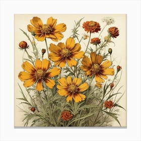 Coreopsis Wildflower Vintage Botanical Art Print 1 Canvas Print