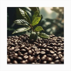 Coffee Beans 51 Canvas Print