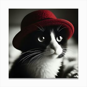 Cat In Red Hat Canvas Print