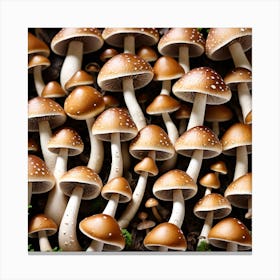 Mushrooms In The Forest 6 Canvas Print
