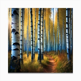 Birch Forest 47 Canvas Print