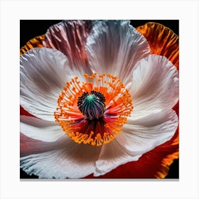 Ethereal poppy flower Canvas Print