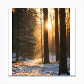 Sunrise In The Woods 1 Canvas Print