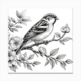 Line Art sparrow 1 Canvas Print