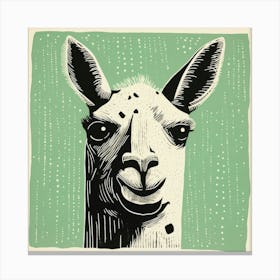 Llama 30 Canvas Print