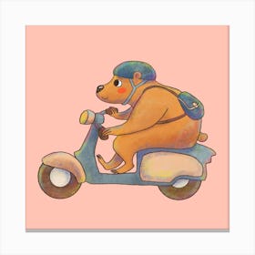 Commuter Bear Riding A Scooter Animals on Vehicles Canvas Print