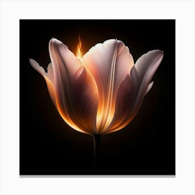 Fire Tulip Canvas Print