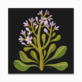 Purple Wildflower Square Canvas Print