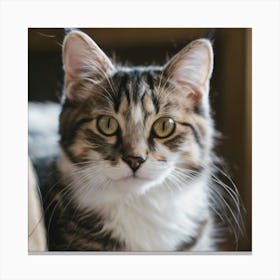 Cat Portrait Canvas Print