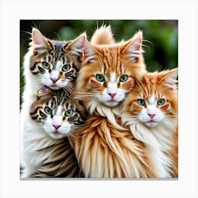 Group Of Cats 3 Canvas Print