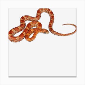 Corn Snake Canvas Print