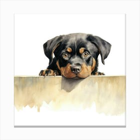 Rottweiler 4 Canvas Print