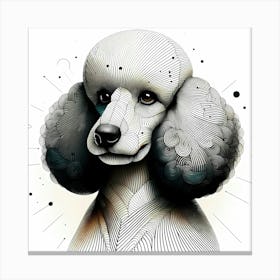 Poodle Dog Head - Abstract Line Art Illustration 107 Canvas Print