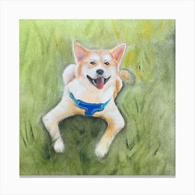 Shiba Inu Canvas Print