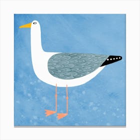 Cheeky Seagull on Blue Canvas Print