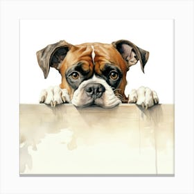 Boxer Dog 14 Canvas Print