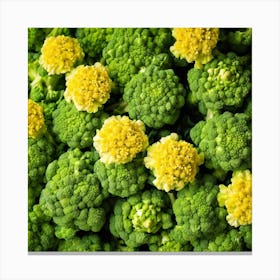 Close Up Of Green Broccoli 1 Canvas Print