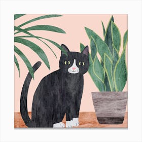 Black Cat And Green Plants Square Canvas Print