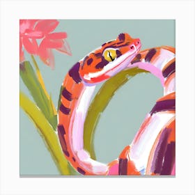 Red Tailed Boa Snake 01 Canvas Print
