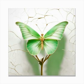 Green Butterfly Canvas Print