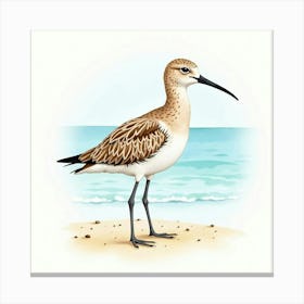 Sandpiper 9 Canvas Print