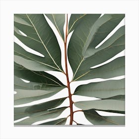 A Mesmerizing Eucalyptus Leaf Abstract Canvas Print