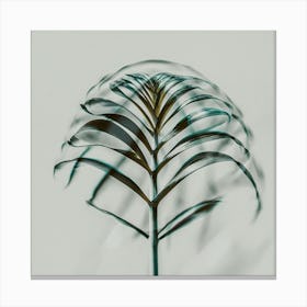 Palm Leaf Canvas Print