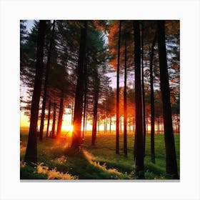 Sunrise In The Forest 11 Canvas Print