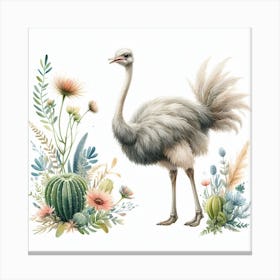 Ostrich 1 Canvas Print