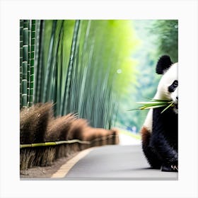 Panda Bear 3 Canvas Print