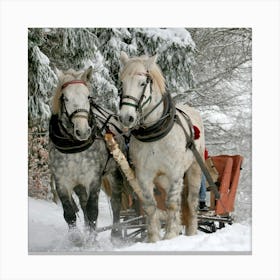 Two Horses Pulling A Sleigh Canvas Print