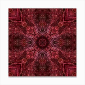 Modern Abstraction Red Decor 1 Canvas Print