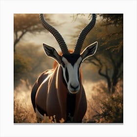 Oryx Antelope Canvas Print