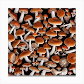 Mushroom On Black Background Photo Canvas Print