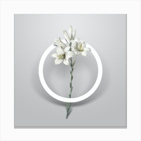 Vintage White Lily Minimalist Botanical Geometric Circle on Soft Gray n.0214 Canvas Print