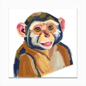 Capuchin Monkey 04 Canvas Print
