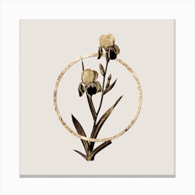 Gold Ring Elder Scented Iris Glitter Botanical Illustration Canvas Print