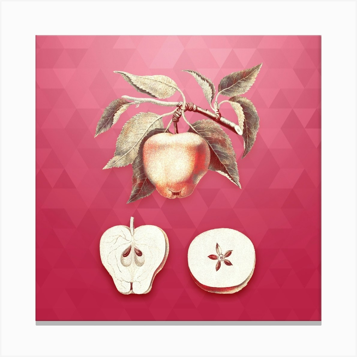 Viva Magenta - Wild Apple