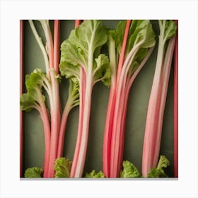 Rhubarb 89 Canvas Print