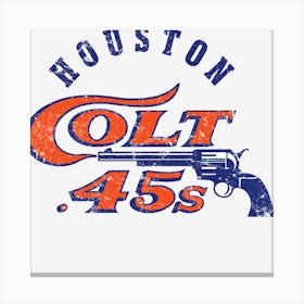 Houston Colt Canvas Print