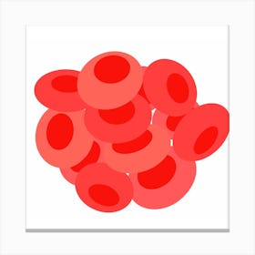 Red Blood Cells Canvas Print