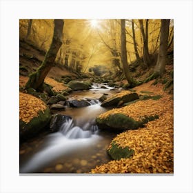 Autumn Forest Stream Canvas Print