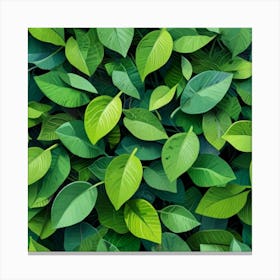 Green Leaves 1 Canvas Print